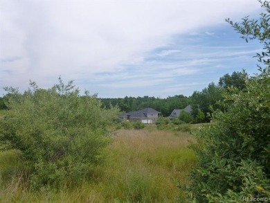 Two of the last lots remaining in the Arnold Palmer designed on Coyote Preserve Golf Club in Michigan - for sale on GolfHomes.com, golf home, golf lot