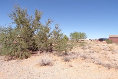 Nice flat lot on a paved road. Be a part of this golf course on Valle Vista Golf Course in Arizona - for sale on GolfHomes.com, golf home, golf lot