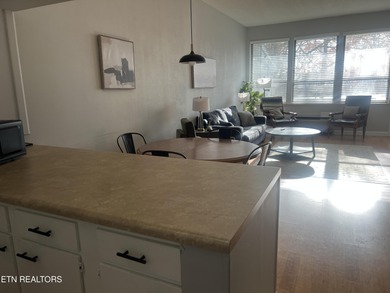 Fully furnished 2 bedroom 2 bath one level condo is in excellent on Druid Hills Golf Club in Tennessee - for sale on GolfHomes.com, golf home, golf lot