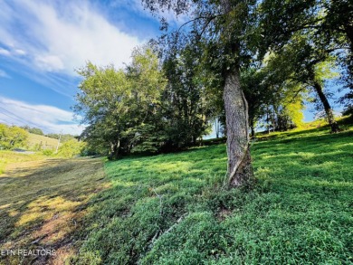 This exceptional property represents the largest single lot in on River Islands Golf Club in Tennessee - for sale on GolfHomes.com, golf home, golf lot