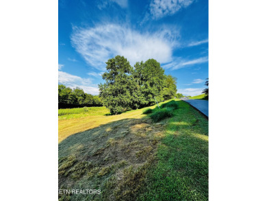 This exceptional property represents the largest single lot in on River Islands Golf Club in Tennessee - for sale on GolfHomes.com, golf home, golf lot
