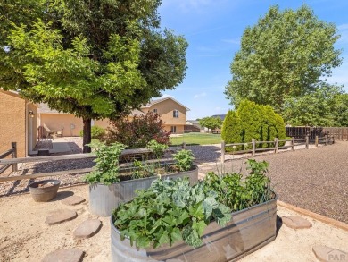 Stunning 4-Bedroom Home in the Highly Sought-After Pueblo West on Desert Hawk At Pueblo West in Colorado - for sale on GolfHomes.com, golf home, golf lot