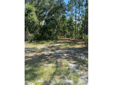 Come check out this rare opportunity to purchase a half-acre lot on Indian Lake Estates Golf and Country Club in Florida - for sale on GolfHomes.com, golf home, golf lot