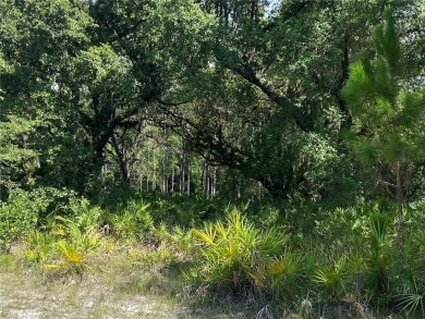 Come check out this rare opportunity to purchase a half-acre lot on Indian Lake Estates Golf and Country Club in Florida - for sale on GolfHomes.com, golf home, golf lot