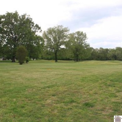 Lot#11 on Doral Court offers an exceptional opportunity to build on Drake Creek Golf Club in Kentucky - for sale on GolfHomes.com, golf home, golf lot