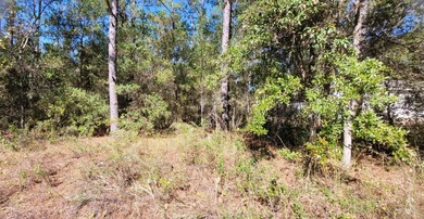 Build your dream home on this beautiful lot in desirable Citrus on Citrus Springs Country Club in Florida - for sale on GolfHomes.com, golf home, golf lot