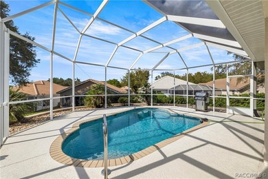 Dreaming of the perfect carefree Pool Home on an oversized on Skyview At Terra Vista Golf and Country Club in Florida - for sale on GolfHomes.com, golf home, golf lot