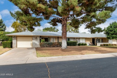 Nestled in the heart of Sun City, is this cozy 2 Bedroom and 2 on PalmBrook Country Club in Arizona - for sale on GolfHomes.com, golf home, golf lot