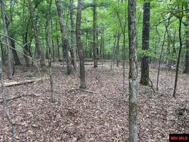 Good laying land in River Cliff subdivision of Bull Shoals on Rivercliff Golf Course in Arkansas - for sale on GolfHomes.com, golf home, golf lot