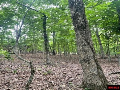 Good laying land in River Cliff subdivision of Bull Shoals on Rivercliff Golf Course in Arkansas - for sale on GolfHomes.com, golf home, golf lot