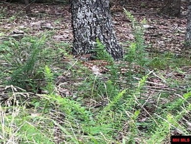 Good laying land in River Cliff subdivision of Bull Shoals on Rivercliff Golf Course in Arkansas - for sale on GolfHomes.com, golf home, golf lot