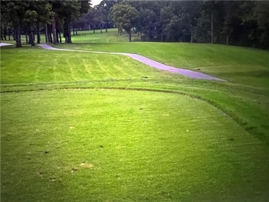 Large lot with all utilities at the street. Major road frontage on Holiday Island Executive Golf Course in Arkansas - for sale on GolfHomes.com, golf home, golf lot