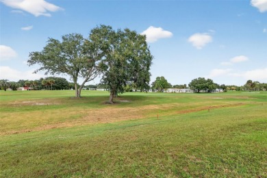 NO BOND! Must see, one of a kind, updated home on Panoramic Golf on Orange Blossom Hills Golf and Country Club in Florida - for sale on GolfHomes.com, golf home, golf lot