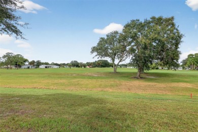 NO BOND! Must see, one of a kind, updated home on Panoramic Golf on Orange Blossom Hills Golf and Country Club in Florida - for sale on GolfHomes.com, golf home, golf lot