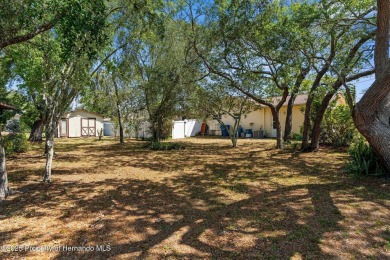 Welcome home to this charming and METICULOUSLY maintained on Oak Hills Country Club in Florida - for sale on GolfHomes.com, golf home, golf lot