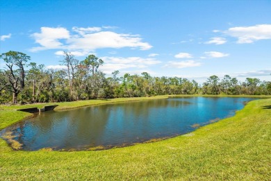 LOCATION, LOCATION, LOCATION! The saying holds true when it on Ritz-Carlton Members Golf Club in Florida - for sale on GolfHomes.com, golf home, golf lot