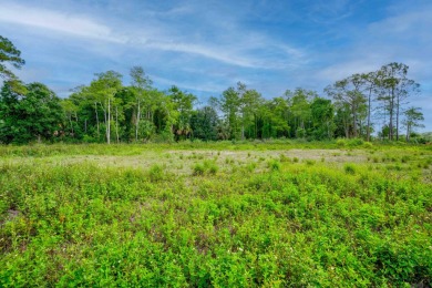 Turn your dreams into reality with this premier corner lot in on Jonathans Landing At Old Trail  in Florida - for sale on GolfHomes.com, golf home, golf lot