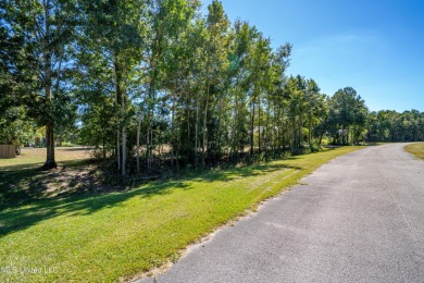 Aviators paradise! Dreaming of building your house with enough on Diamondhead Country Club in Mississippi - for sale on GolfHomes.com, golf home, golf lot