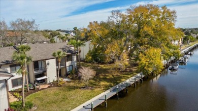 Experience waterfront living at its finest in historic Tarpon on Tarpon Springs Golf Course in Florida - for sale on GolfHomes.com, golf home, golf lot