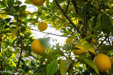 This stunning Vita model delivers high-end finishes beginning on Tuscany Falls At Pebble Creek in Arizona - for sale on GolfHomes.com, golf home, golf lot