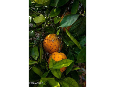 This stunning Vita model delivers high-end finishes beginning on Tuscany Falls At Pebble Creek in Arizona - for sale on GolfHomes.com, golf home, golf lot