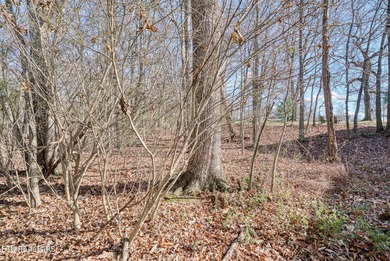 Gorgeous golf-frontage property in Fairfield Glade with an on Druid Hills Golf Club in Tennessee - for sale on GolfHomes.com, golf home, golf lot