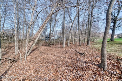 Gorgeous golf-frontage property in Fairfield Glade with an on Druid Hills Golf Club in Tennessee - for sale on GolfHomes.com, golf home, golf lot