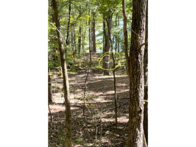 2.31 acre Lakefront lot in resort area with Tannenbaum Golf on Tannenbaum Golf Club in Arkansas - for sale on GolfHomes.com, golf home, golf lot