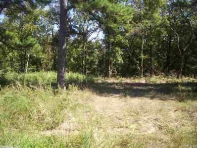 Lots 30, 31- $55,000 per *Each* lot. Lakefront lot in resort on Tannenbaum Golf Club in Arkansas - for sale on GolfHomes.com, golf home, golf lot