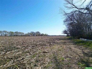 Tonya Allen, M: , tonya.allen,   - Welcome to this excellent on Jackrabbit Run Golf Course in Nebraska - for sale on GolfHomes.com, golf home, golf lot