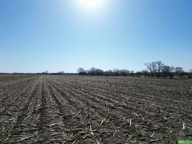 Tonya Allen, M: , tonya.allen,   - Welcome to this excellent on Jackrabbit Run Golf Course in Nebraska - for sale on GolfHomes.com, golf home, golf lot