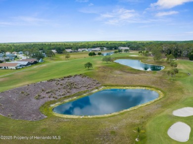 FANTASTIC MOVE IN READY POOL HOME with AWESOME REAR VIEW of HOLE on Heritage Pines Country Club in Florida - for sale on GolfHomes.com, golf home, golf lot