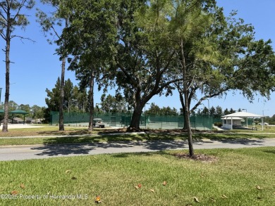 FANTASTIC MOVE IN READY POOL HOME with AWESOME REAR VIEW of HOLE on Heritage Pines Country Club in Florida - for sale on GolfHomes.com, golf home, golf lot