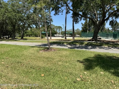 FANTASTIC MOVE IN READY POOL HOME with AWESOME REAR VIEW of HOLE on Heritage Pines Country Club in Florida - for sale on GolfHomes.com, golf home, golf lot