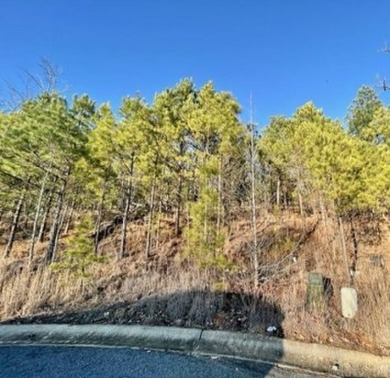 Build your dream home in the beautiful cul de sec located in on Maumelle Golf and Country Club in Arkansas - for sale on GolfHomes.com, golf home, golf lot