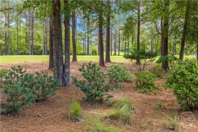 Nestled in the premier gated community of Westbrook in Pooler on Savannah Quarters Country Club in Georgia - for sale on GolfHomes.com, golf home, golf lot