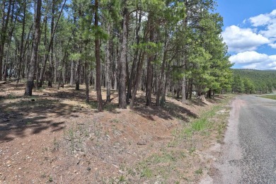Just across the street from Monte Verde Lake, this gently sloped on Angel Fire Resort Country Club in New Mexico - for sale on GolfHomes.com, golf home, golf lot