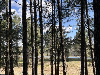 Just across the street from Monte Verde Lake, this gently sloped on Angel Fire Resort Country Club in New Mexico - for sale on GolfHomes.com, golf home, golf lot