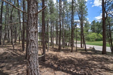 Just across the street from Monte Verde Lake, this gently sloped on Angel Fire Resort Country Club in New Mexico - for sale on GolfHomes.com, golf home, golf lot