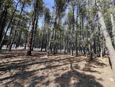 Just across the street from Monte Verde Lake, this gently sloped on Angel Fire Resort Country Club in New Mexico - for sale on GolfHomes.com, golf home, golf lot
