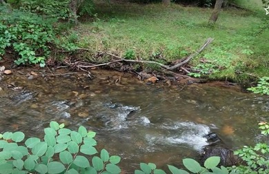 +9.7 unrestricted acres bordering Cherokee land and a on Smoky Mountain Country Club in North Carolina - for sale on GolfHomes.com, golf home, golf lot