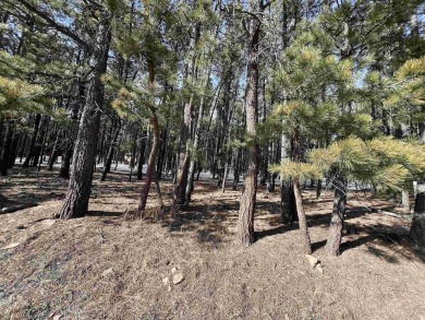 Just across the street from Monte Verde Lake, this gently sloped on Angel Fire Resort Country Club in New Mexico - for sale on GolfHomes.com, golf home, golf lot