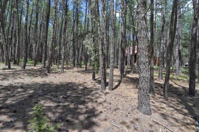 Just across the street from Monte Verde Lake, this gently sloped on Angel Fire Resort Country Club in New Mexico - for sale on GolfHomes.com, golf home, golf lot