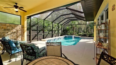 Privacy in Your Heated Saltwater Pool, Spa, and Lanai Paradise on Stoneybrook Golf Club At Heritage Harbour in Florida - for sale on GolfHomes.com, golf home, golf lot