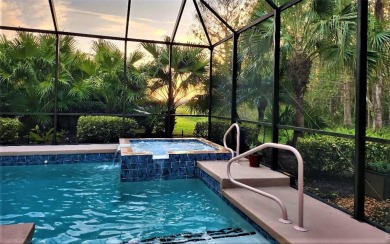 Privacy in Your Heated Saltwater Pool, Spa, and Lanai Paradise on Stoneybrook Golf Club At Heritage Harbour in Florida - for sale on GolfHomes.com, golf home, golf lot