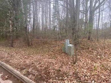 Nicely wooded half acre lot with a gradual slope is located on on American Legion Golf Course in Wisconsin - for sale on GolfHomes.com, golf home, golf lot