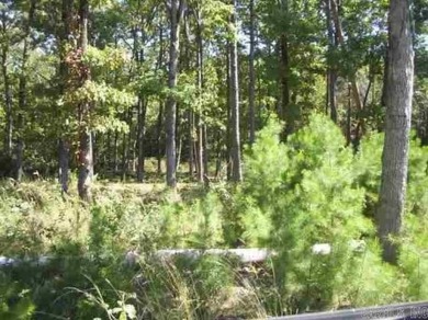 Lakefront lot in resort area with Tannenbaum Golf Course and on Tannenbaum Golf Club in Arkansas - for sale on GolfHomes.com, golf home, golf lot