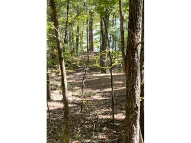 2.31 acre Lakefront lot in resort area with Tannenbaum Golf on Tannenbaum Golf Club in Arkansas - for sale on GolfHomes.com, golf home, golf lot