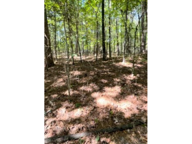 2.31 acre Lakefront lot in resort area with Tannenbaum Golf on Tannenbaum Golf Club in Arkansas - for sale on GolfHomes.com, golf home, golf lot