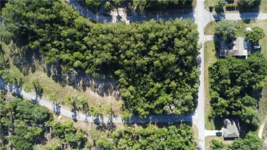 This Vacant Land is ready for your dream home or investment! on Citrus Springs Country Club in Florida - for sale on GolfHomes.com, golf home, golf lot